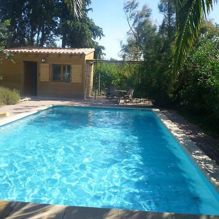 Duplex 130M2 Dans Un Mas Entoure De Vergers - Piscine Saint-Feliu-d'Avall Экстерьер фото