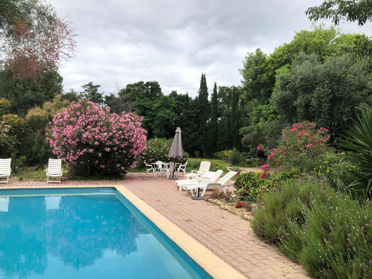 Duplex 130M2 Dans Un Mas Entoure De Vergers - Piscine Saint-Feliu-d'Avall Экстерьер фото